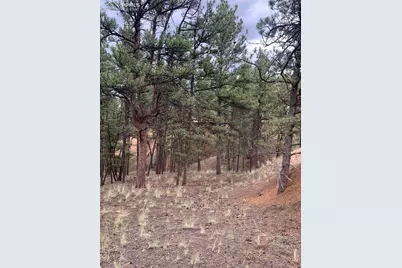 110 Wallace Drive, Florissant, CO 80816 - Photo 40
