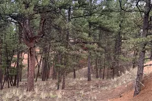 110 Wallace Dr, Florissant, CO 80816 - Photo 40