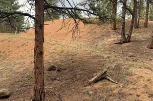 110 Wallace Dr, Florissant, CO 80816 - Photo 30