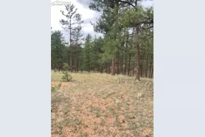 110 Wallace Drive, Florissant, CO 80816 - Photo 32