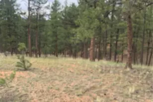 110 Wallace Dr, Florissant, CO 80816 - Photo 32