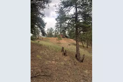 110 Wallace Drive, Florissant, CO 80816 - Photo 44