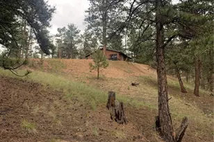 110 Wallace Dr, Florissant, CO 80816 - Photo 44