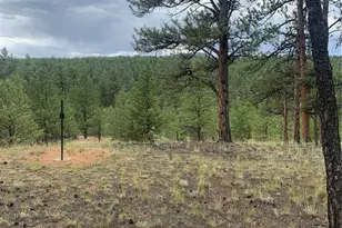 110 Wallace Dr, Florissant, CO 80816 - Photo 42
