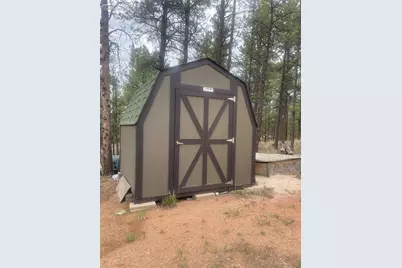 110 Wallace Drive, Florissant, CO 80816 - Photo 10