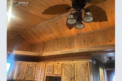 110 Wallace Drive, Florissant, CO 80816 - Photo 28