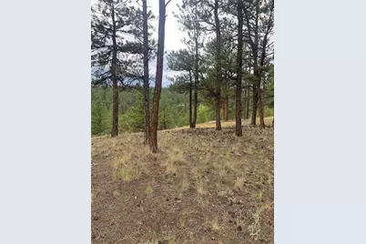 110 Wallace Drive, Florissant, CO 80816 - Photo 38