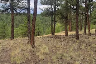 110 Wallace Dr, Florissant, CO 80816 - Photo 38