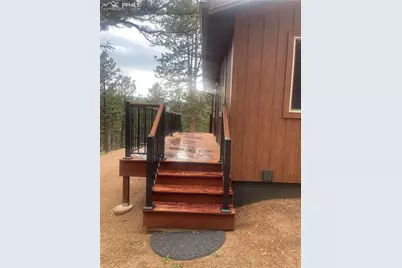 110 Wallace Drive, Florissant, CO 80816 - Photo 20