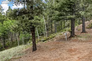 3043 County Rd 1, Cripple Creek, CO 80813 - Photo 28