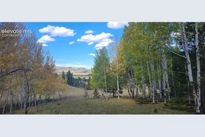 505 Buck Drive, Guffey, CO 80820 - Photo 28