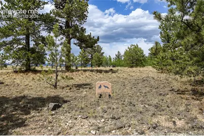 614 Yellowstone Road, Hartsel, CO 80449 - Photo 4