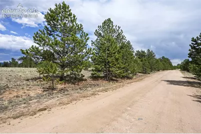 614 Yellowstone Road, Hartsel, CO 80449 - Photo 24