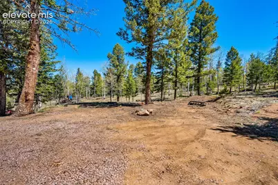 417 Beaver Creek Drive, Florissant, CO 80816 - Photo 32