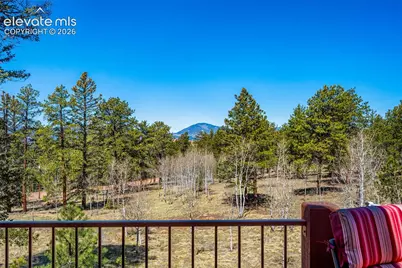 417 Beaver Creek Drive, Florissant, CO 80816 - Photo 30