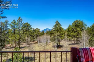 417 Beaver Creek Dr, Florissant, CO 80816 - Photo 30