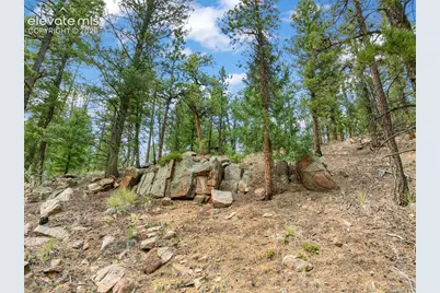 3843 County Road 33, Woodland Park, CO 80863 - Photo 6