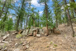 3843 Co Rd 33, Woodland Park, CO 80863 - Photo 6