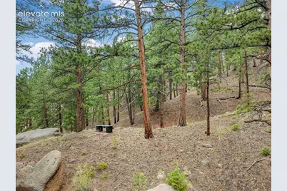 3843 County Road 33, Woodland Park, CO 80863 - Photo 8