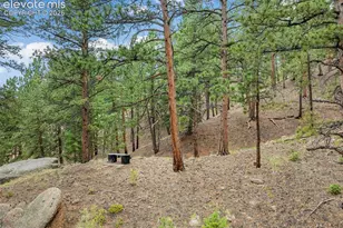 3843 Co Rd 33, Woodland Park, CO 80863 - Photo 8