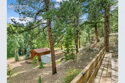 3843 County Road 33, Woodland Park, CO 80863 - Photo 4