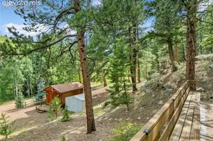 3843 Co Rd 33, Woodland Park, CO 80863 - Photo 4