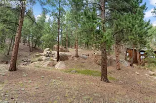 3843 Co Rd 33, Woodland Park, CO 80863 - Photo 10