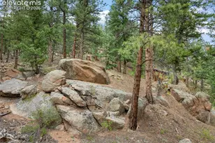 3843 Co Rd 33, Woodland Park, CO 80863 - Photo 12