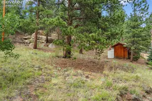 3843 Co Rd 33, Woodland Park, CO 80863 - Photo 18