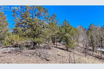 513 Last Dollar Drive, Cripple Creek, CO 80813 - Photo 16