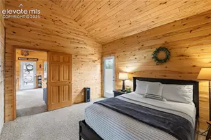 526 Wakanda Trail, Woodland Park, CO 80863 - Photo 4