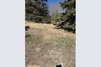 405 Meadow Park Drive, Divide, CO 80814 - Photo 8