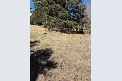 405 Meadow Park Drive, Divide, CO 80814 - Photo 6