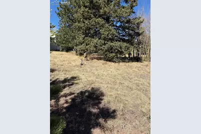 405 Meadow Park Drive, Divide, CO 80814 - Photo 4