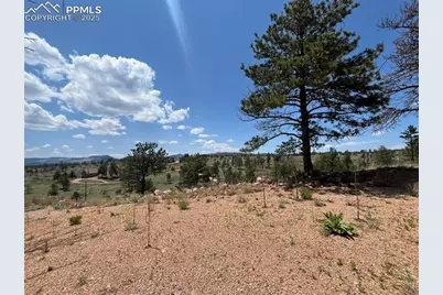 160 Chateau West Drive, Florissant, CO 80816 - Photo 10