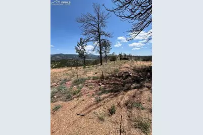 160 Chateau West Drive, Florissant, CO 80816 - Photo 6