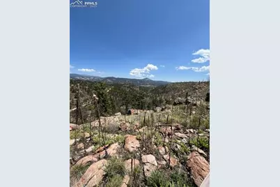 160 Chateau West Drive, Florissant, CO 80816 - Photo 26