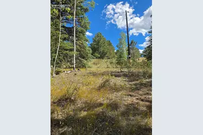181 Troy Drive, Cripple Creek, CO 80813 - Photo 14