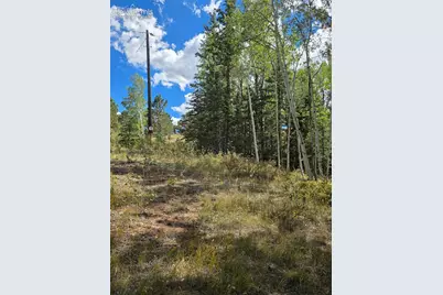 181 Troy Drive, Cripple Creek, CO 80813 - Photo 12