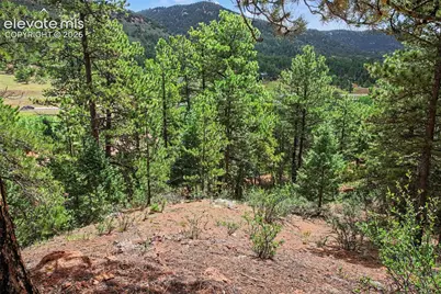 10905 W Highway 24, Green Mountain Falls, CO 80819 - Photo 10