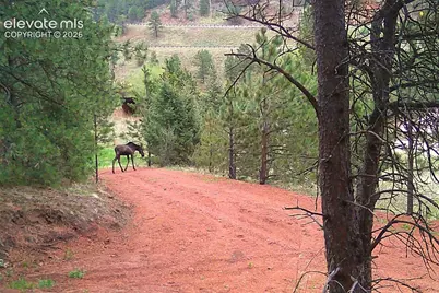 10905 W Highway 24, Green Mountain Falls, CO 80819 - Photo 20