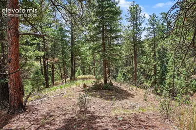 10905 W Highway 24, Green Mountain Falls, CO 80819 - Photo 22