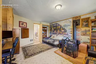525 Wilson Wy, Cripple Creek, CO 80813 - Photo 38