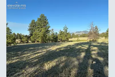 Tbd Doe Valley Road, Guffey, CO 80820 - Photo 14