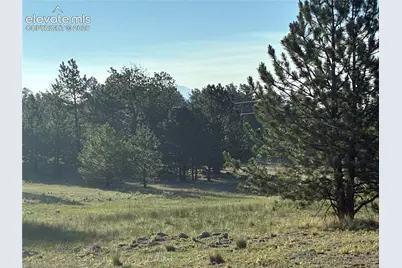 Tbd Doe Valley Road, Guffey, CO 80820 - Photo 16