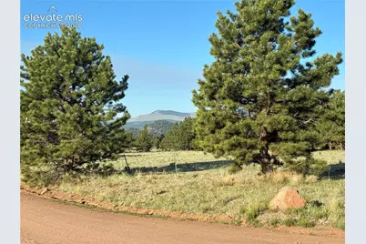 Tbd Doe Valley Road, Guffey, CO 80820 - Photo 8