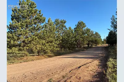 Tbd Doe Valley Road, Guffey, CO 80820 - Photo 6