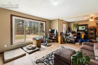 20 Westwood Drive, Woodland Park, CO 80863 - Photo 4