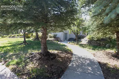 2275 Cape Pine Way, Colorado Springs, CO 80919 - Photo 8