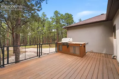 3925 Wavy Oak Drive, Colorado Springs, CO 80908 - Photo 34